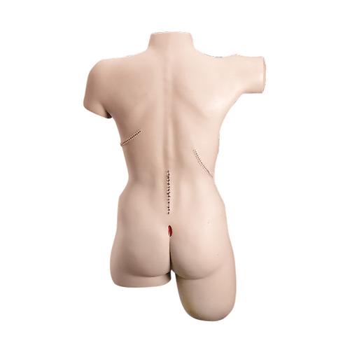 Bandaging Simulator with Ostomy - Nasco