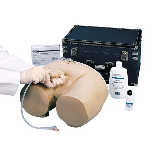 Catheterization Simulator Male - Nasco