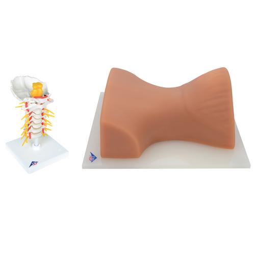 Cervical Spinal Injection Set -3B