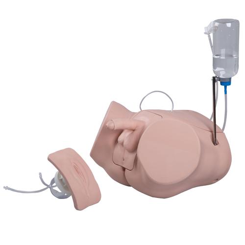 Catheterization Simulator PRO Set - 3B