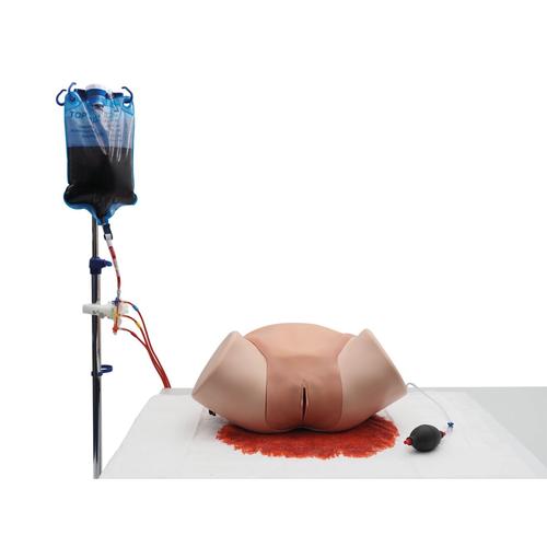 Postpartum Hemorrhage Simulator PPH Trainer P97 PRO - 3B