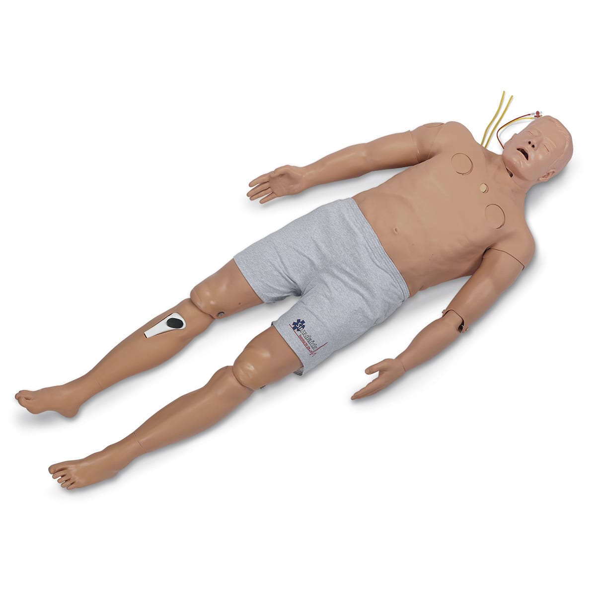 Pre-Hospital Trauma Life Support (PHTLS) Full Body Trainer - Nasco