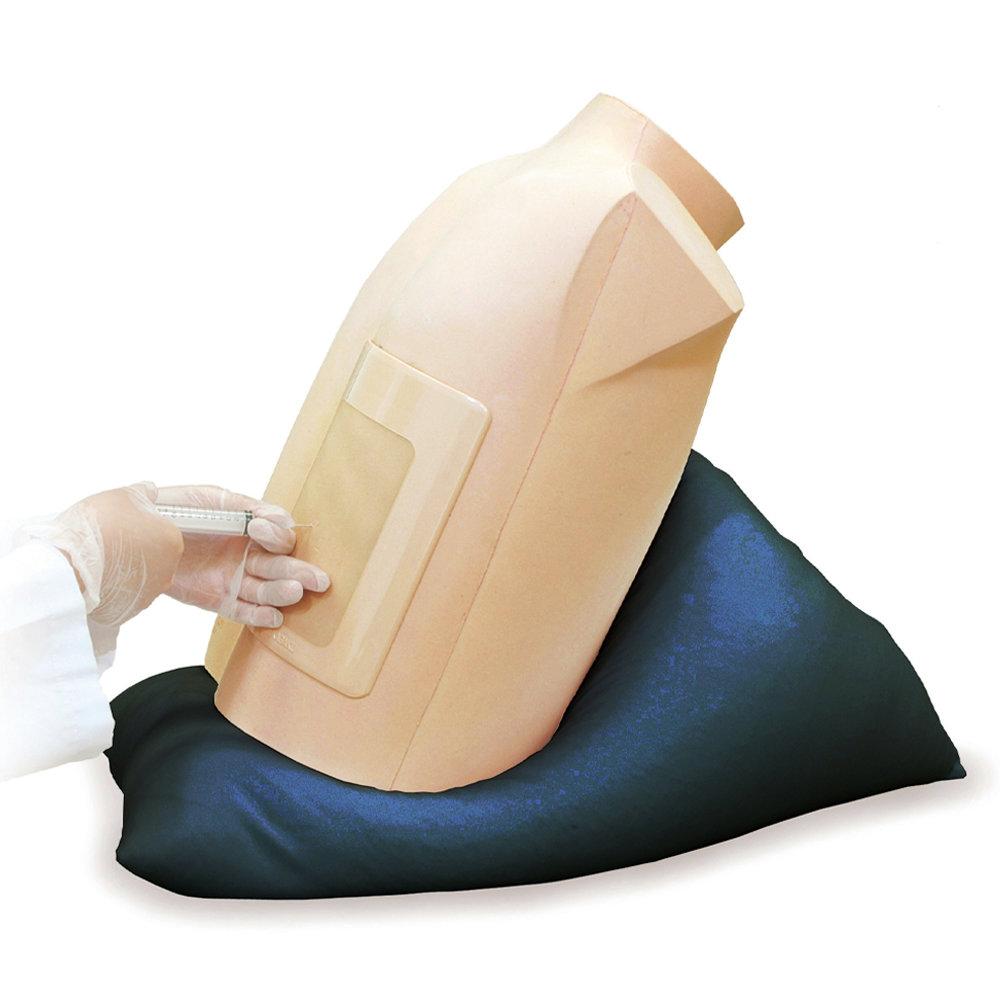 Ultrasound-Guided Thoracentesis/ Pericardiocentesis Simulator - Kyoto Kagaku