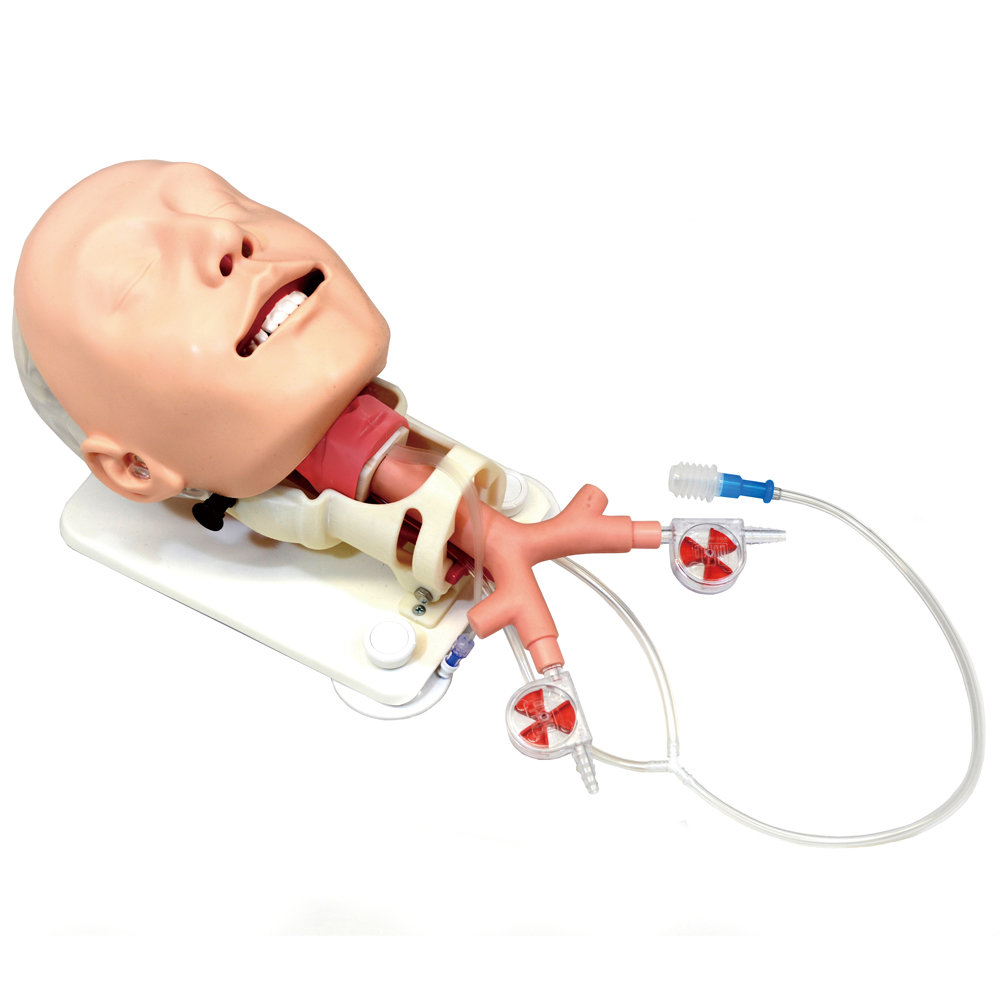 Difficult Airway Management Simulator -Demonstration Model - Kyoto Kagaku