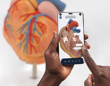 Introducing 3B Smart Anatomy: The new app free with your anatomical model- 3B