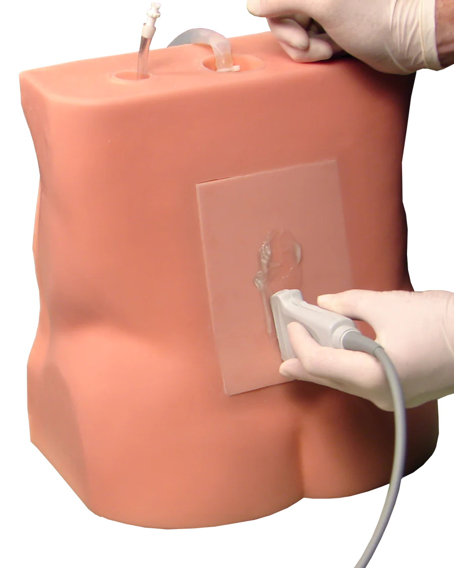 Lumbar Puncture Trainer - Simulab