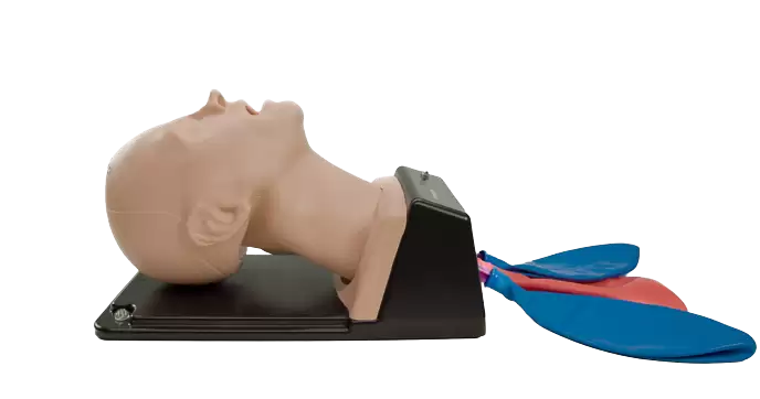 AirSim X Intubation Airway -TruCorp