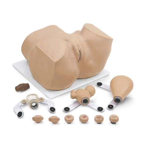 Eva Gynecologic Manikin With Carry Case - Nasco