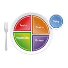 MyPlate Plate