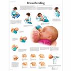 Breastfeeding Chart