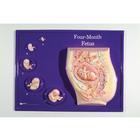 Four-Month Fetus Model Activity Set