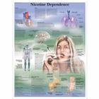 Nicotine Dependence Chart