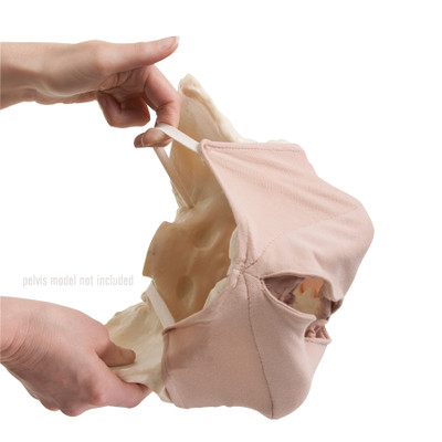 Perineal Cloth Model