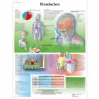 Headaches Chart