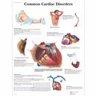 Common Cardiac Disorders Chart