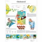 Cholesterol Chart