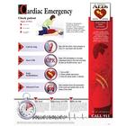 Cardiac Emergency Chart
