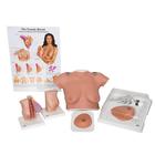 Breast Examination Kit