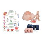 Birthing Simulator & Stages Kit