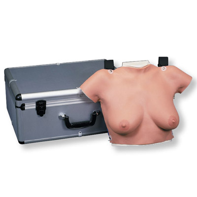 Breast Self Examination Model - Wearable - 3B