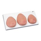 Breast Self Examination model, three single breasts on base