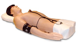 Harvey  The Cardiopulmonary Patient Simulator