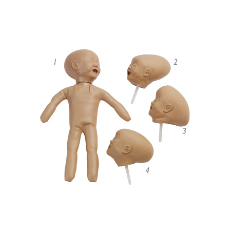 Foetal Doll with Four Interchangable Heads - AR
