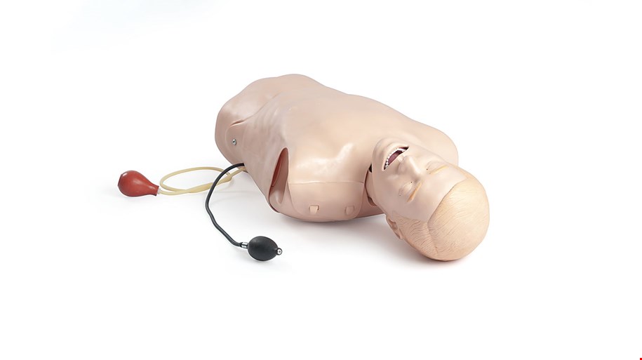 Deluxe Difficult Airway Management Trainer - Laerdal