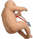 Lumbar Puncture Baby - Simulab