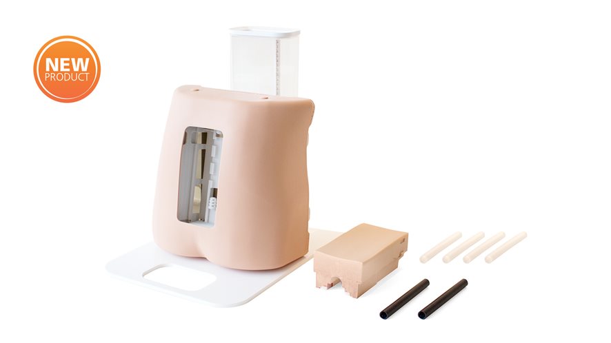 Epidural & Lumbar Puncture Model - Ulrasound Compatible  - L&T