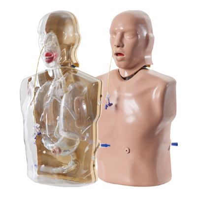 Feeding Tube Trainer - Adult Nasogastric/Nasojejunal - CORMAN - AR