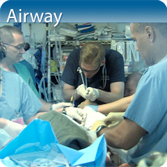 Core Clinical Module: Airway Module