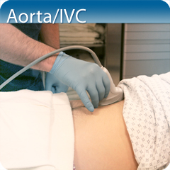 Core Clinical Module: Aorta IVC Module