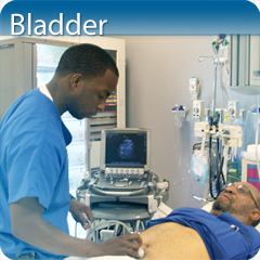 Core Clinical Module: Bladder Module