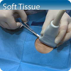 Core Clinical Module: Soft Tissue Module