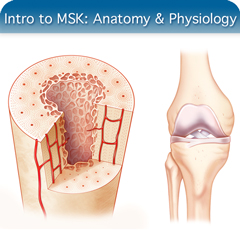 Anatomy & Physiology Module: Introduction to MSK Module