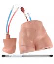 Femoral LineMan Training Package - Simulab