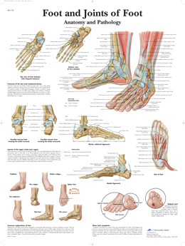 footand