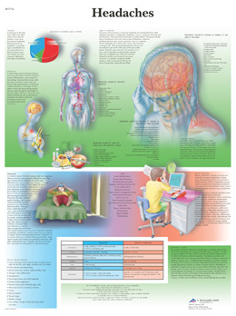 Headache Chart