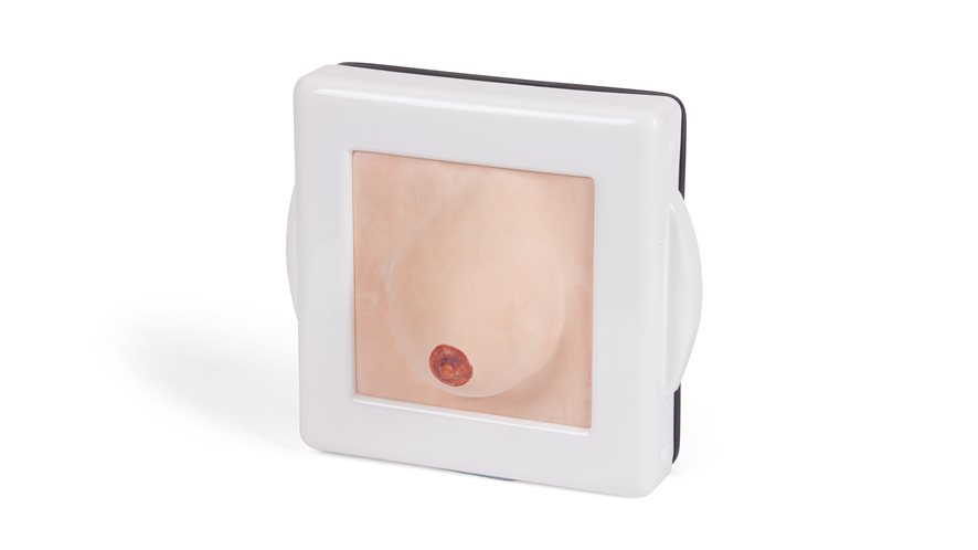 40044-01-examination-diagnostic-breast-trainer