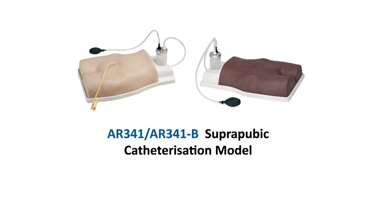AR341 Suprapubic Catheterisation Model_Moment