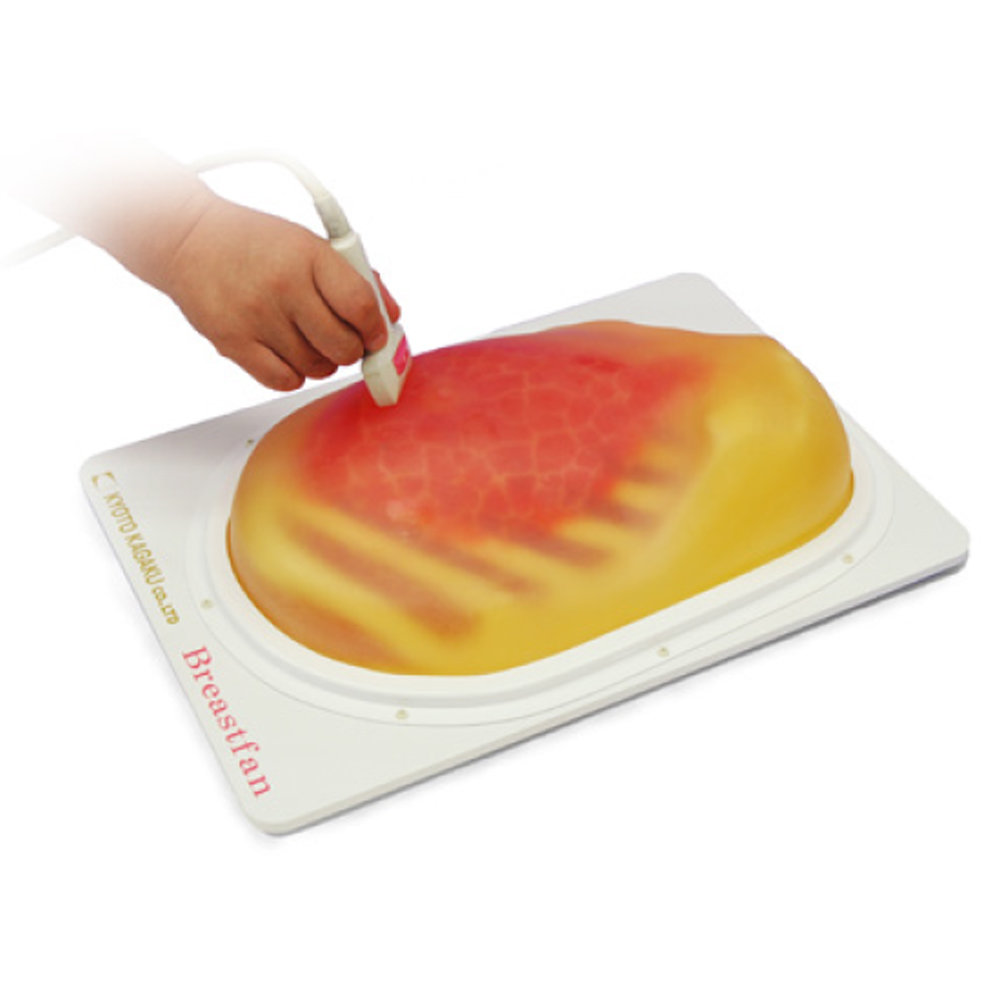 Breast Ultrasound Examination Phantom BREAST FAN