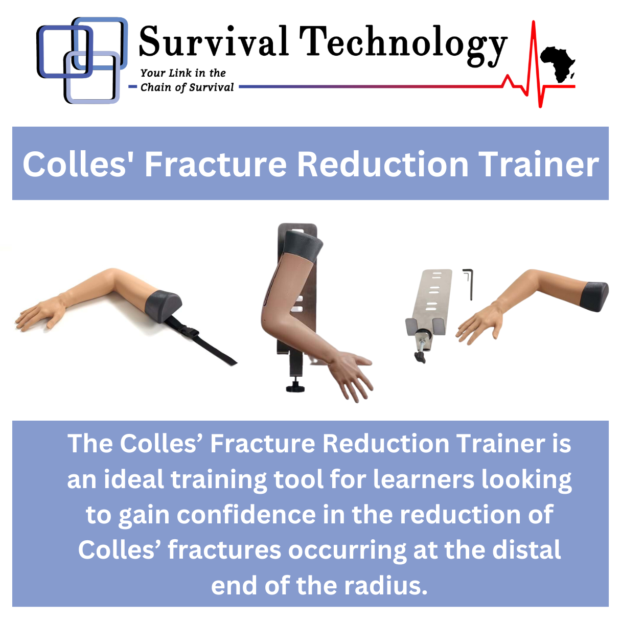 Colles Fracture Reduction Trainer (1)