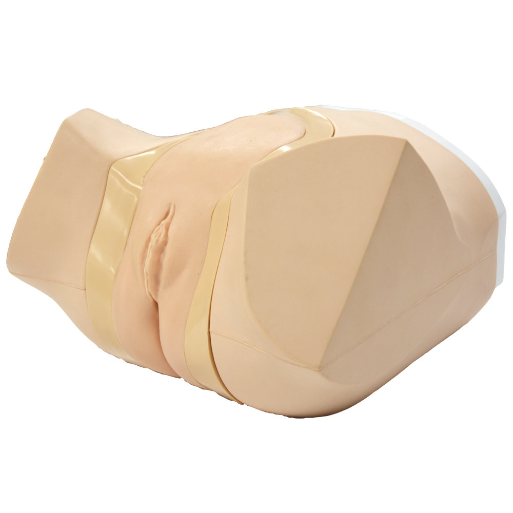 Female Catheterization Enema Simulator