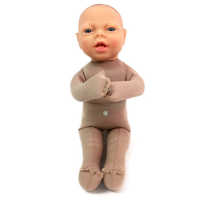 Fetal-Model_media-01