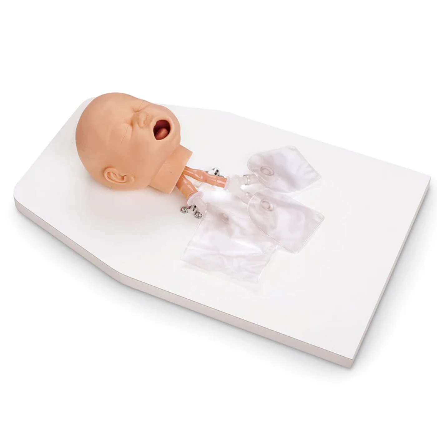 Infant Airway Management Trainer with Stand