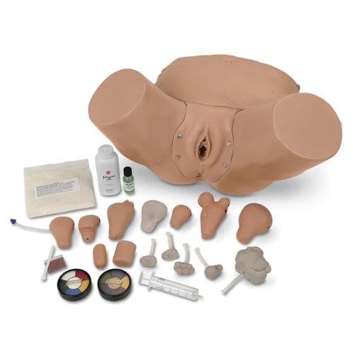 Lifeform Advanced Pelvic Examination and Gynecological Simulator