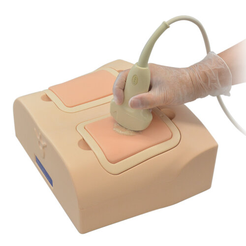 Lung Ultrasound Training Phantom ECHOLUNG