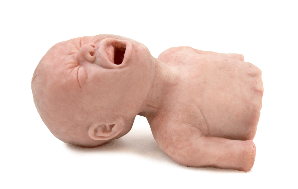 Newborn Airway Trainer