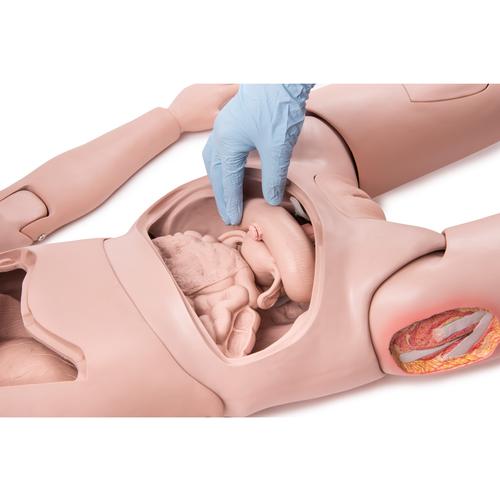 P10-1_08,1018816_3B_Scientific_Patient_Care_Maniki